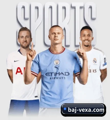 八戒体育围绕看球场景设计的核心服务 - 多运动项目内容板块（BAJIESPORTS）